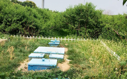 地(dì)埋式一體化(huà)汙水處理設備