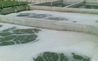 高濃（nóng）度有機廢（fèi）水應該怎麽處（chù）理？