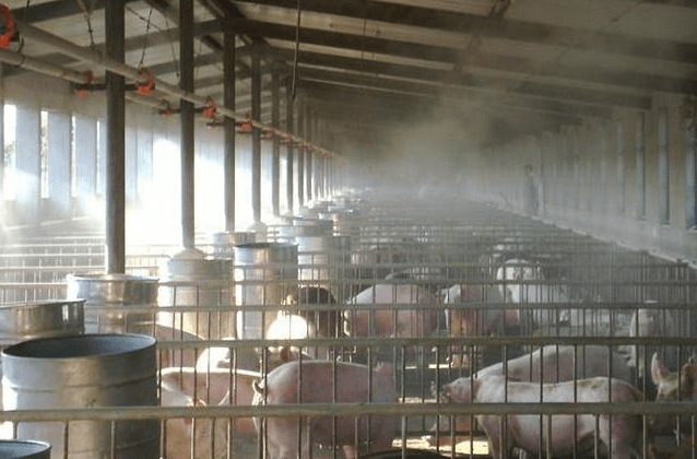 (養殖行業（yè）)畜糞車間臭氣處理（lǐ）